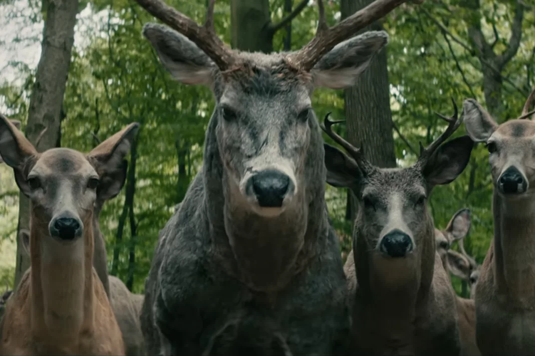 Deer Symbolism in 'Leave the World Behind': Explained