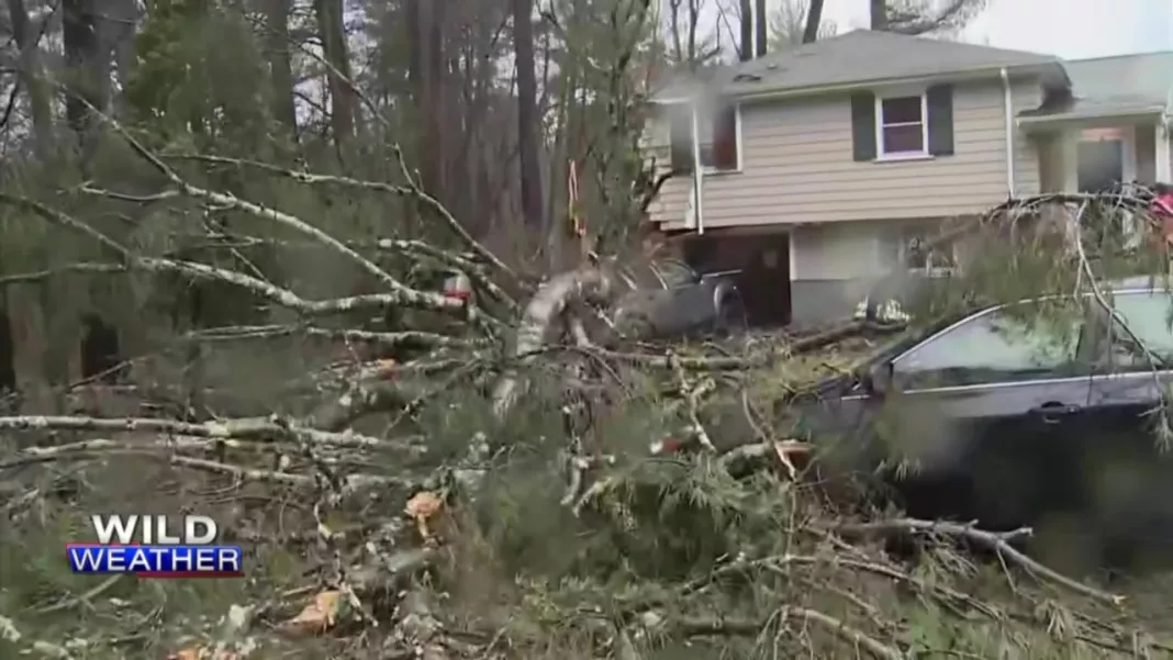 Wild weather causes power outages, flight delays, and damage in southern New England