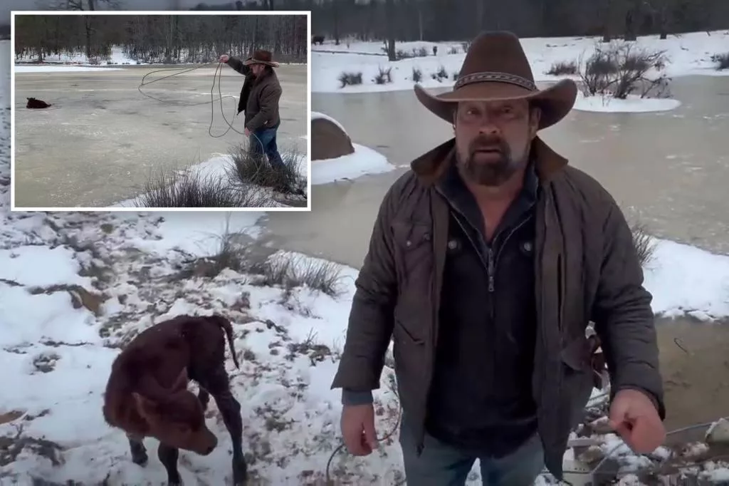 Cowboy Saves Calf from Frozen Pond with Lasso: Video