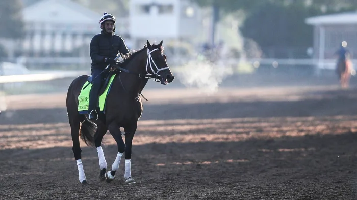 The Ultimate Guide to the 150th Kentucky Derby: Horses, Odds, Field, and More