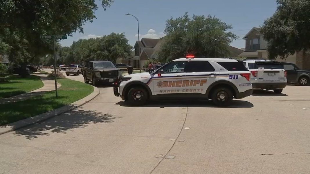 Man Fatally Shot in Katy Neighborhood: Harris County Sheriff's Office Searching for Suspect