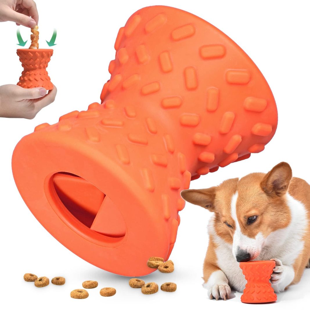 Shop the Best Pet Essentials on Sale Now at Chewy