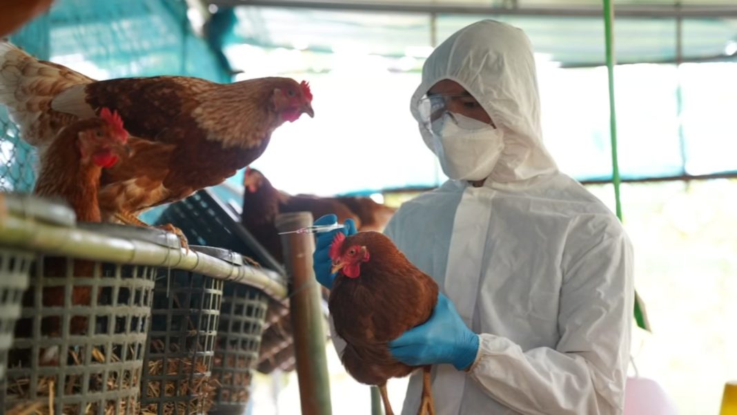 Traces of Bird Flu Detected in Austin Wastewater Systems: Low Risk to Public