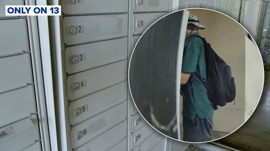 Brazen Mail Thief Caught on Camera Stealing from Houston Office Building