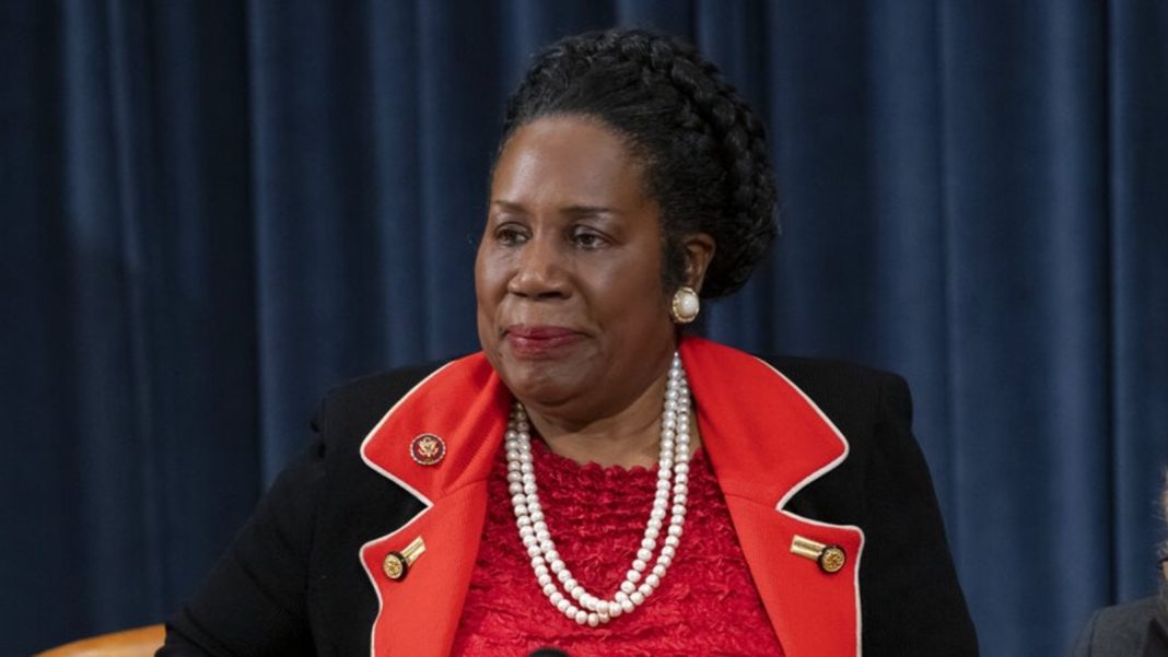 Houston Mourns the Passing of U.S. Rep. Sheila Jackson Lee: Elected Officials and Leaders Express Condolences