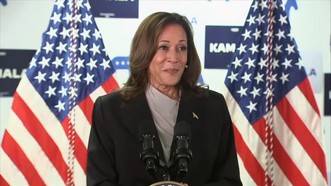 Kamala Harris Launches Presidential Campaign with Rally in Milwaukee