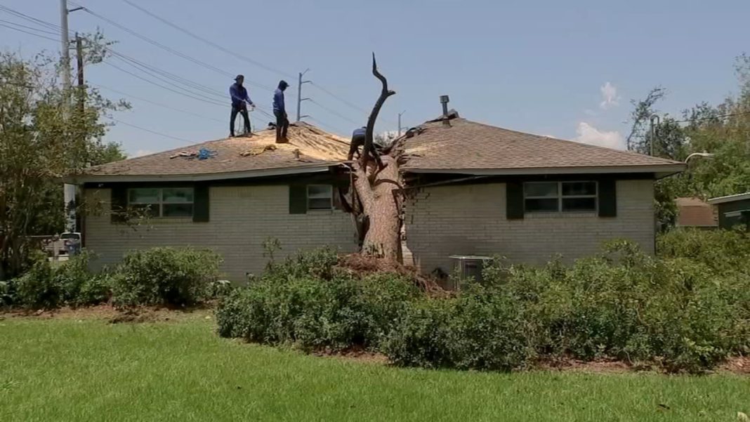 Woman in Her 70s Miraculously Survives as Massive Tree Crushes Bathroom in Texas Storm