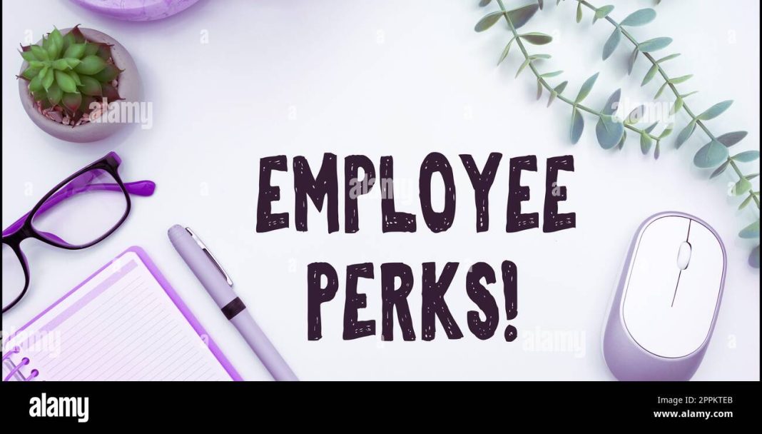 Why Gen Zers Are Demanding More Than Just a High Salary: The Importance of Work Perks in Job Offers