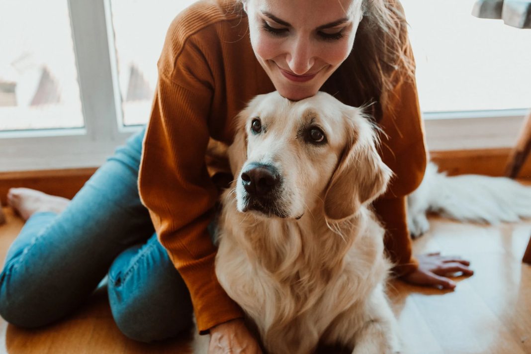 Heavenly Love: The Bond Between Pets and Their Humans Endures Beyond Life