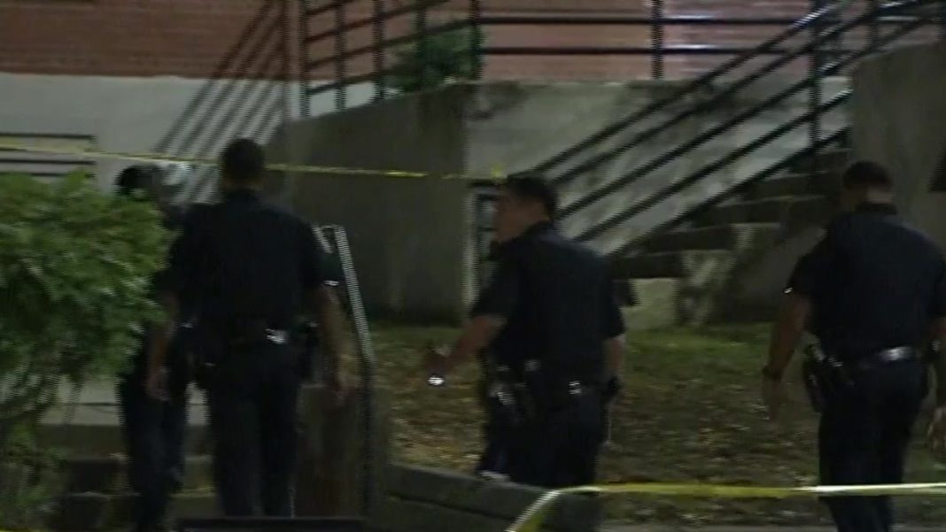 Jamaica Plain Shooting: Man Dies as Police Investigate Firearm Incidents