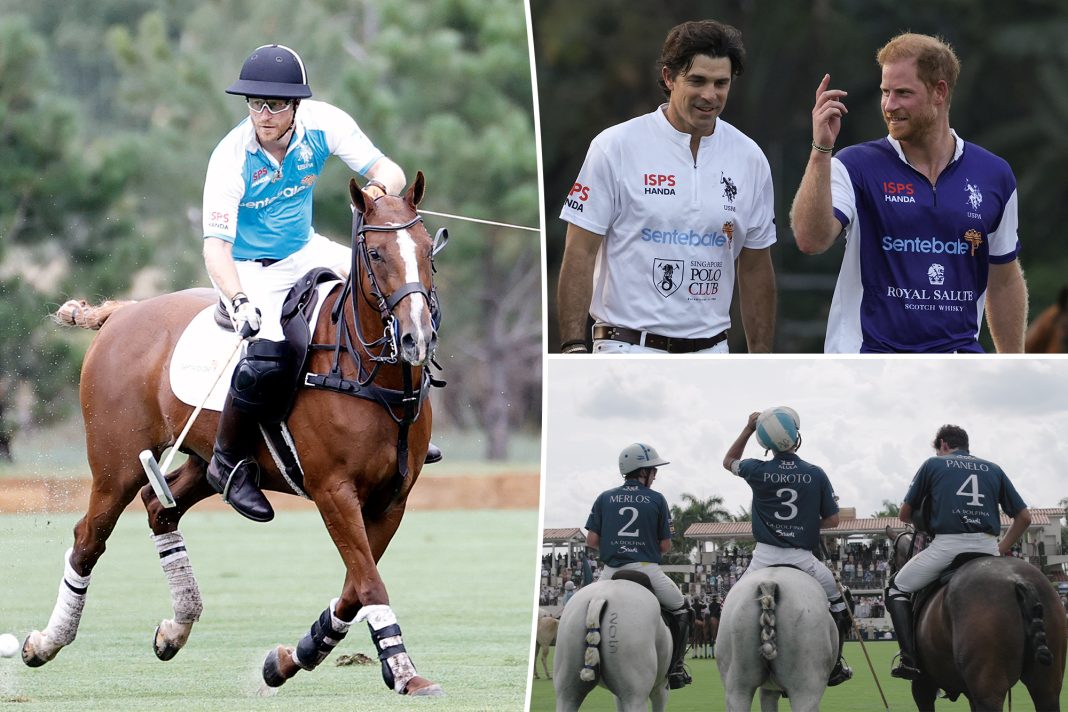 Netflix Disappointed by Prince Harry's Polo Documentary Focused on Nacho Figueras