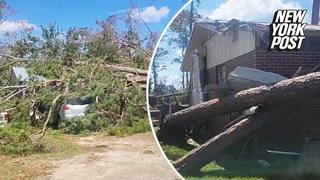 Helene's Fury Causes Widespread Tree Damage in Georgia Community