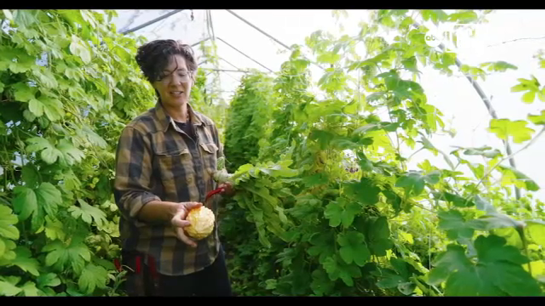 Reviving Heritage Through Farming: Leslie Wiser's Journey in Sebastopol